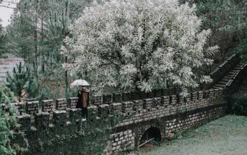 Cây cầu nhỏ ở đây được thiết kế rất giống Vạn Lý Trường Thành, mang màu rêu phong cổ kính. Chắc chắn, bạn sẽ có góc "sống ảo" giống như ở Trung Quốc.