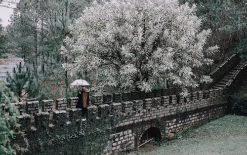 Cây cầu nhỏ ở đây được thiết kế rất giống Vạn Lý Trường Thành, mang màu rêu phong cổ kính. Chắc chắn, bạn sẽ có góc "sống ảo" giống như ở Trung Quốc.