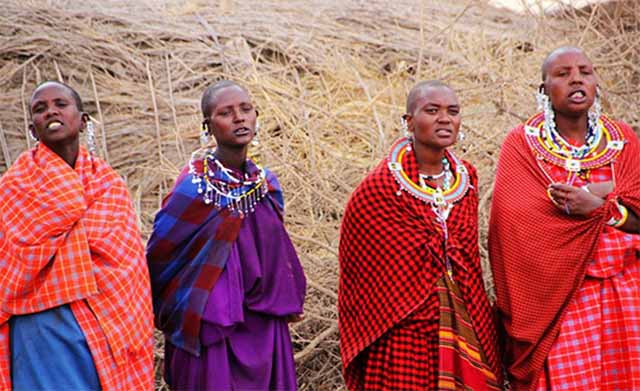 Theo truyền thống, người Maasai chủ yếu dựa vào thịt, sữa và máu từ gia súc để đáp ứng nhu cầu protein và calo. Người ta uống máu vào những dịp đặc biệt.