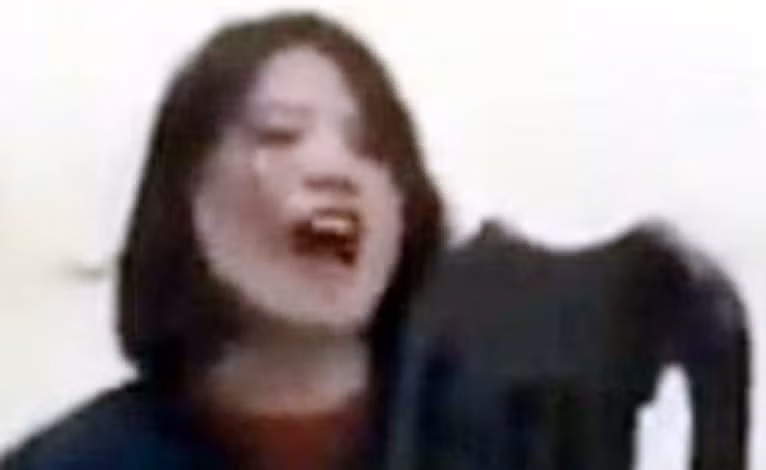 Vu Trang Tran bi bat, chui boi cong an qua loi nhan chung