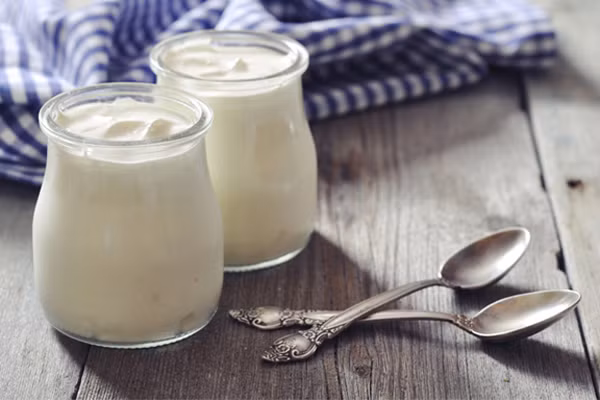 Thời gian ủ sữa chua thường là 8-12h. Tùy thời tiết nóng, lạnh mà điều chỉnh thời gian khác nhau. Nếu trời nóng thì cần ít thời gian hơn để ủ.