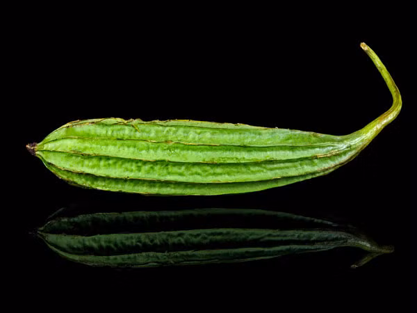 Mướp khía: Mướp khía rất tốt cho mùa hè. Loại quả này được cho là dễ tiêu hóa và rất tốt cho dạ dày. Vì vậy, bạn có thể thêm mướp khía vào bữa ăn tối để tránh các vấn đề liên quan đến tiêu hóa vào mùa hè.