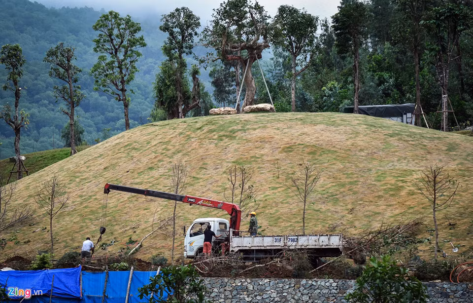 Công nhân xây dựng, trồng cây cảnh trong khuôn viên Hoàng Lê Gia Garden bất chấp lệnh cấm.