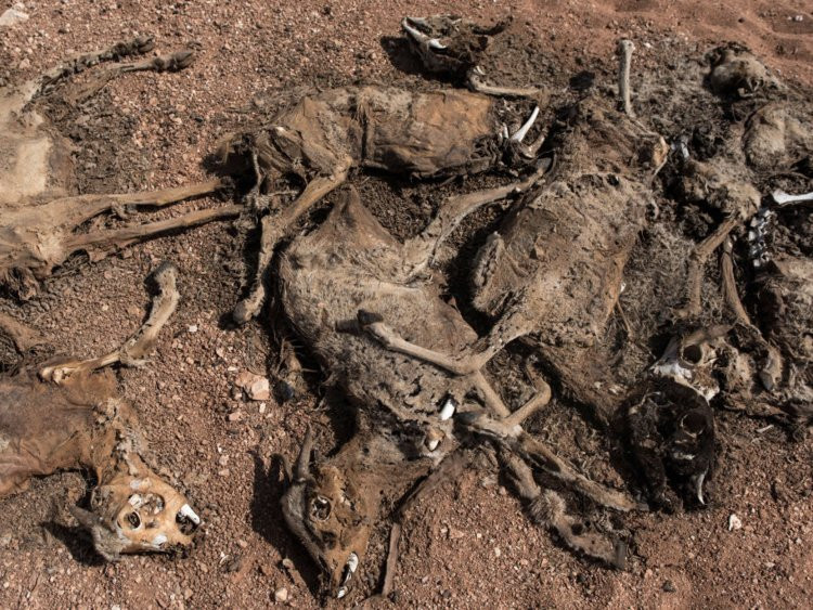 Somali đứng ở vị trí tiếp theo - đây là một quốc gia được CIA mô tả ngắn gọn là "Tội phạm, khủng bố và vi phạm nhân quyền". Đây là một trong những quốc gia được coi là có chính quyền yếu kém nhất trên thế giới và người dân ở Somali thậm chí không có bất cứ cách nào để mưu sinh ngoài việc trở thành khủng bố hoặc làm cướp biển. Nguồn ảnh: BI.