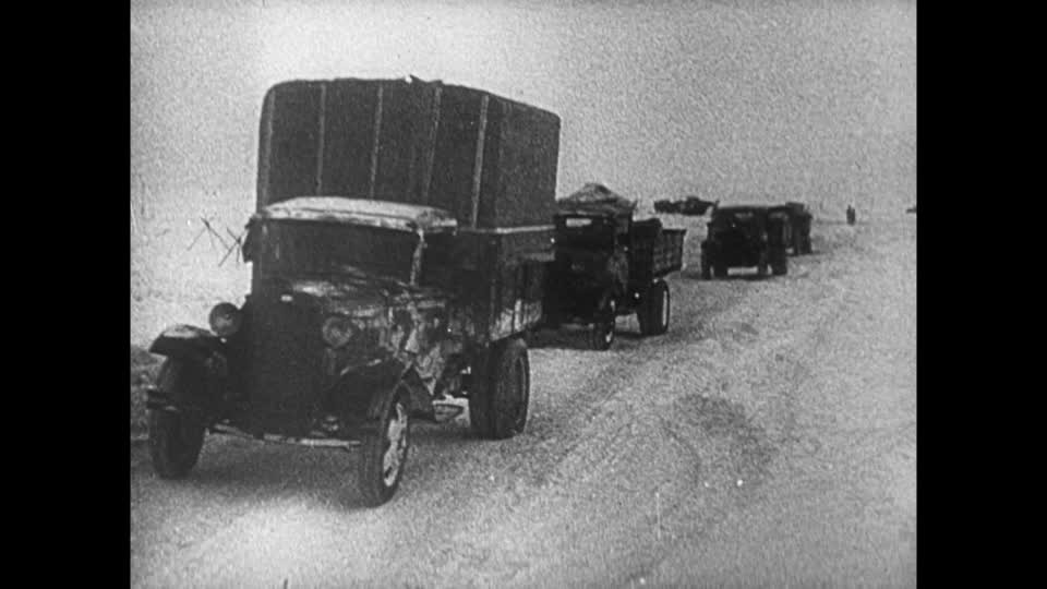 Nghe có vẻ phi lý tuy nhiên những chú mèo này đã được tôn vinh làm anh hùng của Leningrad vì chúng giúp diệt chuột, bảo vệ lượng lương thực ít ỏi và quý hơn vàng ở Leningrad lúc bấy giờ. Nguồn ảnh: Tube.