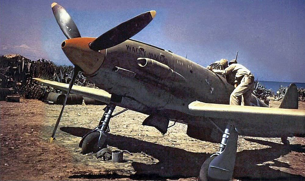 Độ cơ động của C.202 là tuyệt hảo ở mọi độ cao. Ở độ cao 5600 mét, tốc độ tối đa nó đạt được là 600 km/h. Không quá nhanh nhưng bù lại là khả năng cơ động cực kỳ tốt trên không. Nguồn ảnh: Archive.