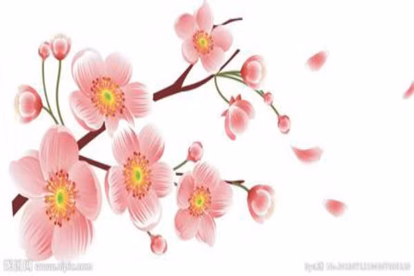 Sinh gio nao co cung dao hoa dep nhat?