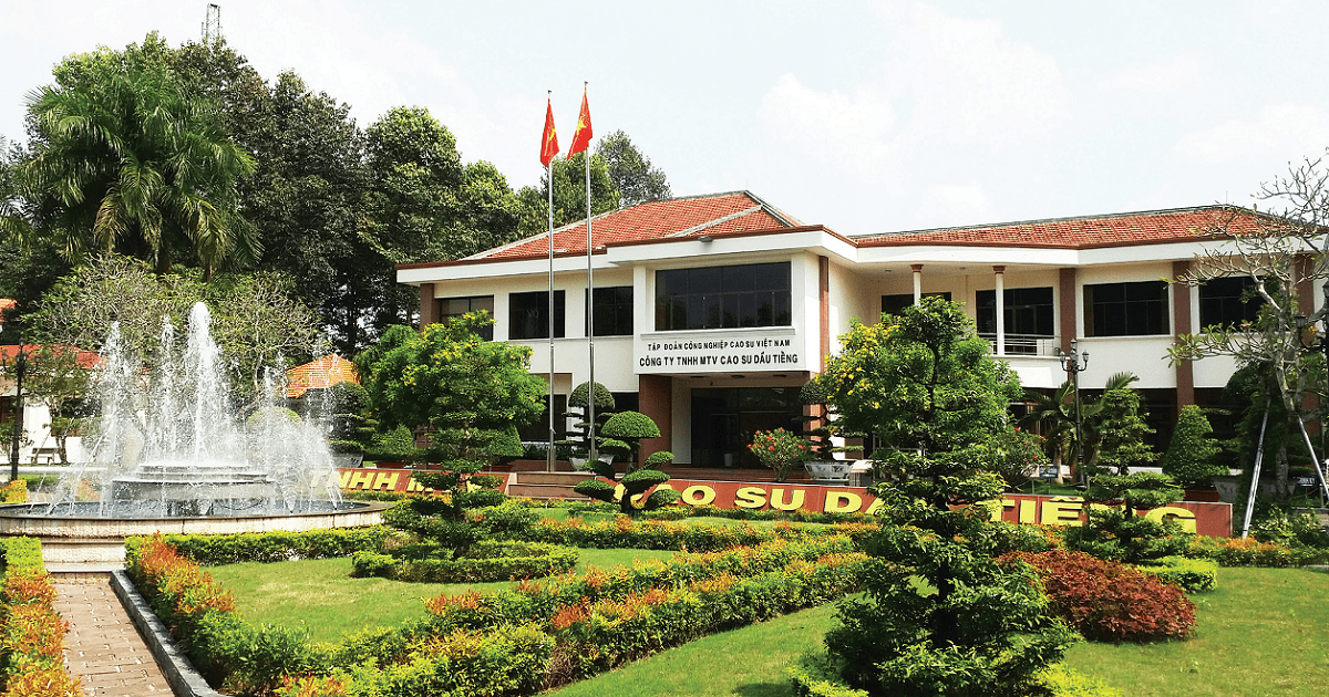 Cty Cao su Dau Tieng da tim duoc nha thau cung cap chen hung mu cao su-Hinh-3