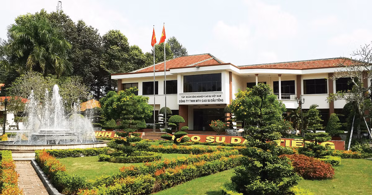 Cty Cao su Dau Tieng da tim duoc nha thau cung cap chen hung mu cao su-Hinh-3