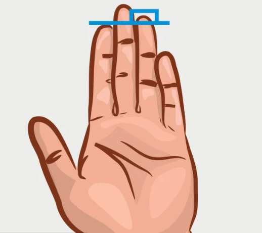 Nhìn độ dài ngón trỏ, biết ngay hậu vận giàu sang hay nghèo hèn Nhin do dai ngon tro, biet ngay hau van giau sang hay ngheo hen