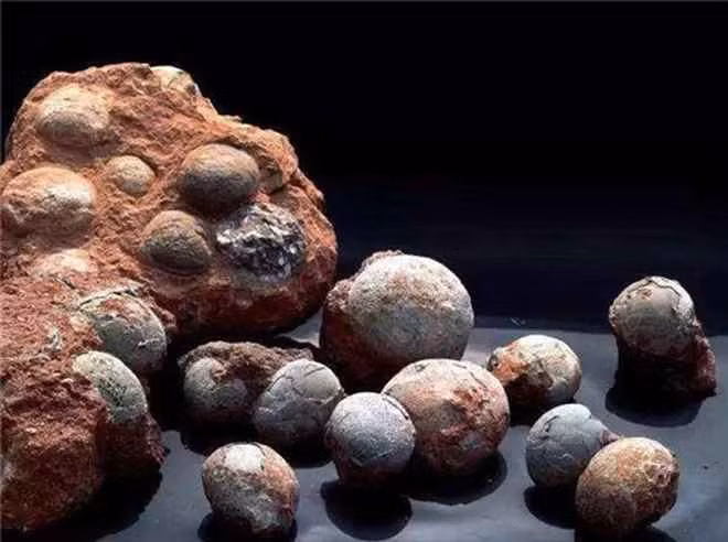 Lão nông đào được viên đá lạ đem bán 2000 đồng 1 viên Lao nong dao duoc vien da la dem ban 2000 dong 1 vien