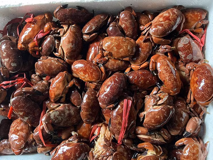 Cù kỳ ngon nhất vào tháng 3-4, lúc đó cù kỳ mang gạch (trứng), thịt chắc, dày.