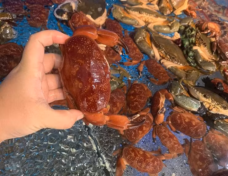  Cù kỳ còn có tên gọi khác là cua cù kỳ, cùm cùm hay cua đá, một loại cua biển có hai càng rất to, chân có nhiều lông, thịt săn chắc và rất thơm ngon.