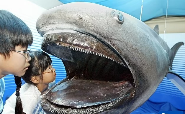 Khoanh khac hiem thay ca map mieng to xuat hien ngoai khoi