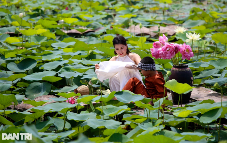 Các dịch vụ vui chơi và chụp ảnh lưu niệm tại đầm sen cũng thu hút đông giới trẻ, tuy nhiên phải 1 tuần nữa hoa sen tại đây mới nở đẹp.