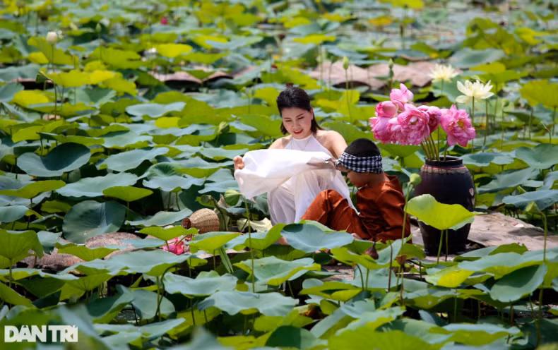 Các dịch vụ vui chơi và chụp ảnh lưu niệm tại đầm sen cũng thu hút đông giới trẻ, tuy nhiên phải 1 tuần nữa hoa sen tại đây mới nở đẹp.