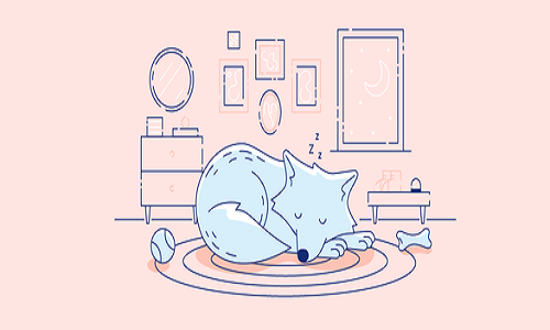 Dong vat ngu nhu the nao? Thoi quen ngu cua cac loai khac nhau sao?