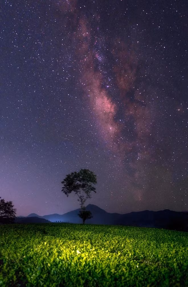 Nhung vet sang dau tien cua con mua sao bang dep nhat nhi nam 2022