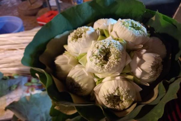 Hoa sen cuoi mua, chi em Ha thanh tranh thu mua ve cam choi