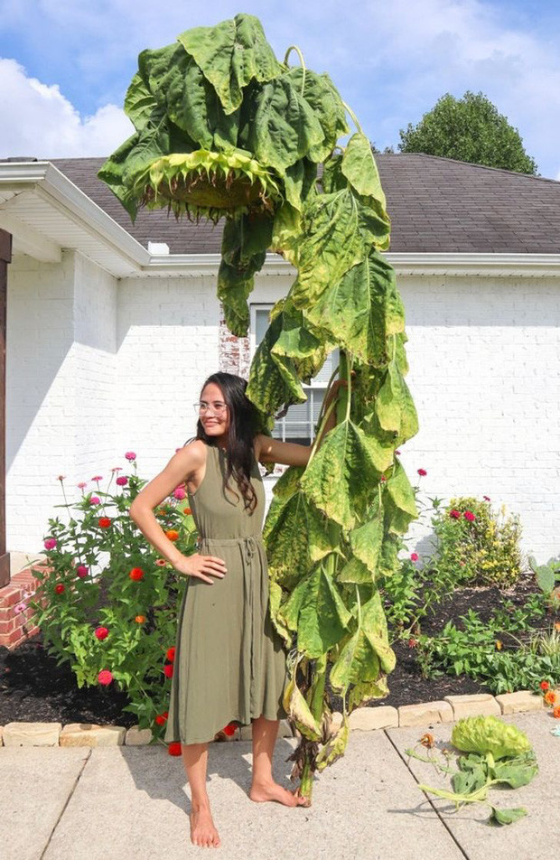 Con nguoi nho be the nao khi so voi the gioi ngoai kia-Hinh-8