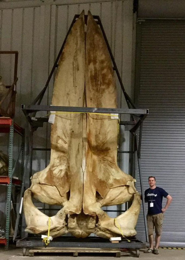 Con nguoi nho be the nao khi so voi the gioi ngoai kia-Hinh-6