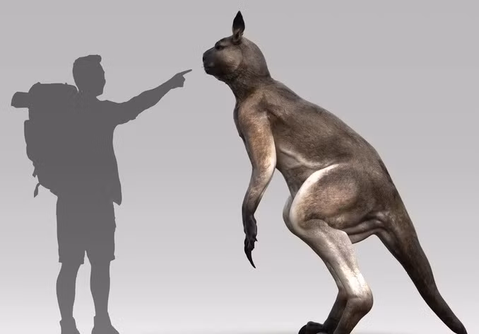 Nhung loai thu co tui to lon nhat tung duoc con nguoi phat hien-Hinh-2