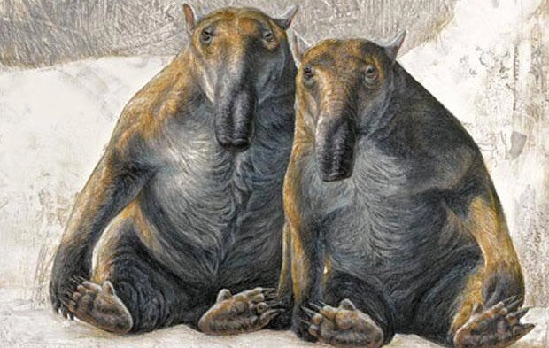 Nhung loai thu co tui to lon nhat tung duoc con nguoi phat hien