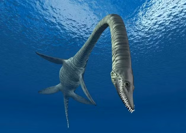 Bo phan gay soc nang cap 