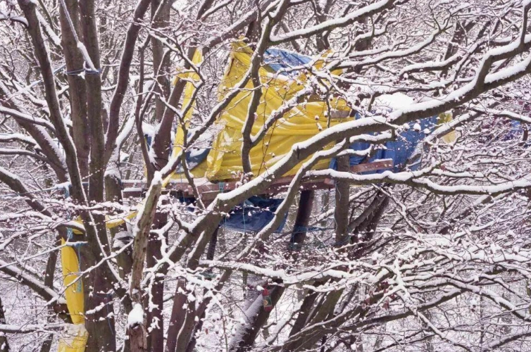 Bo anh song tren cay cua nhung nguoi bao ve moi truong 27 nam truoc-Hinh-4