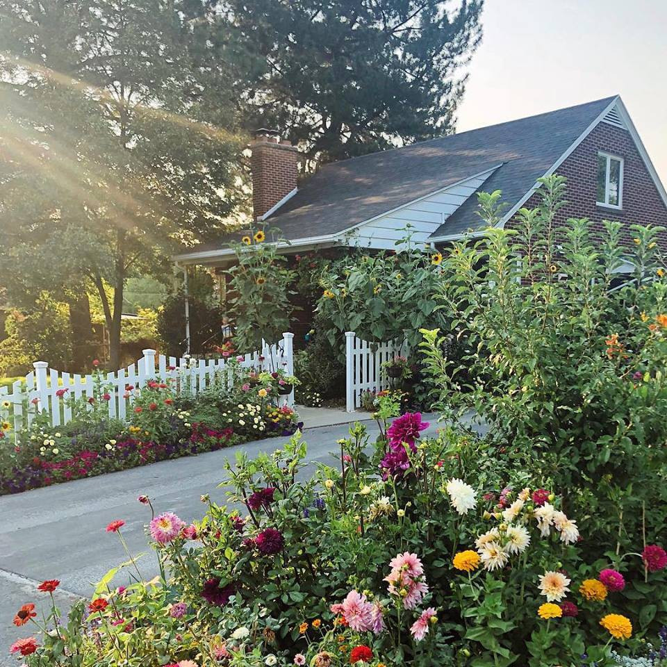 Cuoc song cua gia dinh 6 nguoi ben khu vuon day hoa va rau