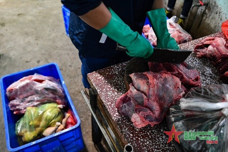 Hổ được cho ăn 2 lần/ngày. Trong tuần có một ngày cố định các “bảo mẫu” không cho ăn để kích thích bản năng tự nhiên của từng con. Khẩu phần ăn luân phiên gồm thịt bò, thịt gà, xương sườn, gan... khoảng 5 – 6kg thịt mỗi bữa.