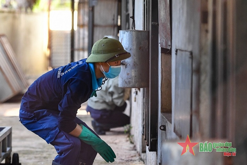 Hệ thống cửa chuồng được thiết kế chắc chắn, điều khiển kéo mở phía bên ngoài. Công việc đầu tiên vào mỗi buổi sáng của các "bảo mẫu" là quan sát, kiểm tra biểu hiện, hành động của từng con hổ xem có bất thường gì không. “Việc theo dõi hoạt động của từng con hổ rất quan trọng, giúp chúng tôi biết con nào căng thẳng, yếu tố nào tác động tới tính nết, đặc tính... của chúng”, chị Lương Quế Thùy chia sẻ.