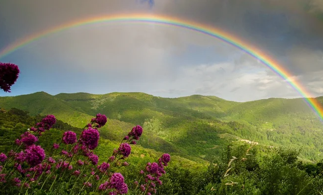 Cau vong xuat hien ngay cang nhieu, bao hieu hiem hoa bien doi khi hau