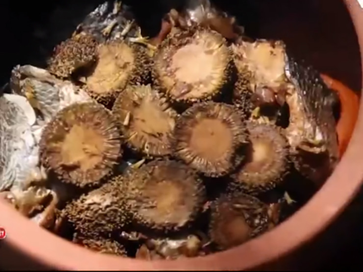 Loại quả nhiều người không biết tên, nay thành đặc sản giá 120.000/kg - Hình 10 Loai qua nhieu nguoi khong biet ten, nay thanh dac san gia 120.000/kg-Hinh-10