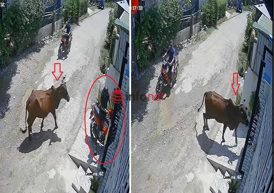 Chang trai bo xe may Xipo chay tron khi gap dan bo-Hinh-3