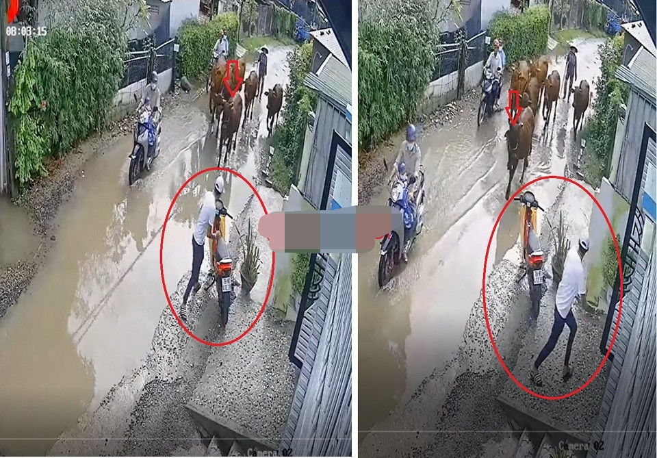 Chang trai bo xe may Xipo chay tron khi gap dan bo