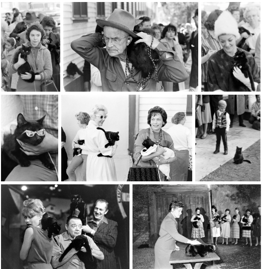 Anh hiem ve cuoc tuyen chon dien vien meo cua Hollywood nam 1961-Hinh-3