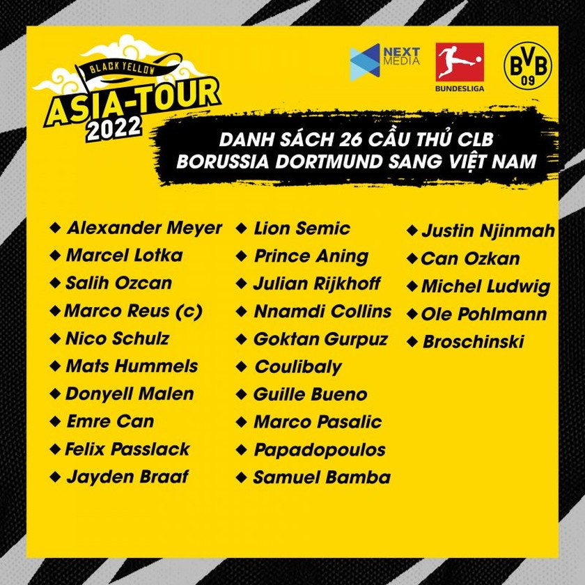 Marco Reus se sang Viet Nam thi dau giao huu