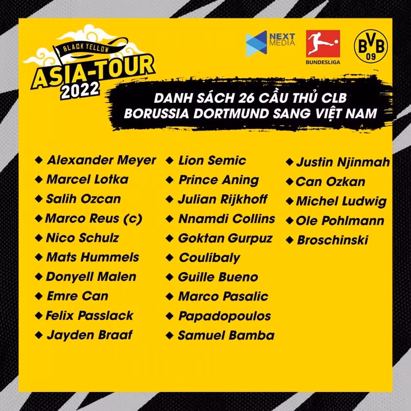 Marco Reus se sang Viet Nam thi dau giao huu