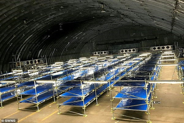 Hiện tại, căn cứ Upper Heyford được chuyển đổi thành nhà xác tạm thời trong bối cảnh dịch COVID-19 đang bùng phát ở nước Anh.