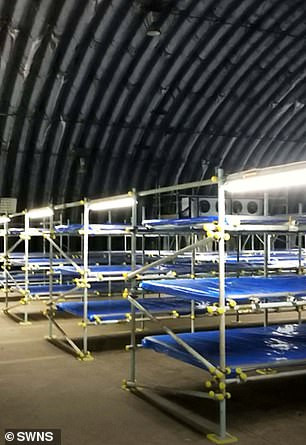 "Có hai nhà chứa máy bay khác đã được dọn dẹp sạch sẽ và họ đang chờ xem liệu con số (tử vong) có tiếp tục tăng hay không", nguồn tin nói thêm.