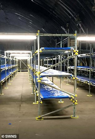 Ngoài ra, 5 nhà chứa máy bay khác cũng có thể được "huy động" để có thể chứa tổng cộng 5.400 thi thể.