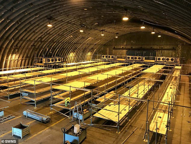 "Hai nhà chứa máy bay trong căn cứ Upper Heyford đã được sử dụng làm nơi chứa các thi thể người tử vong vì COVID-19. Thi thể đều được để trong túi đựng tử thi", một công nhân cho biết.