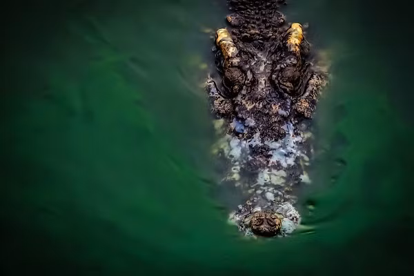 Hai hung phat hien thi the nguoi trong bung ca sau khong lo