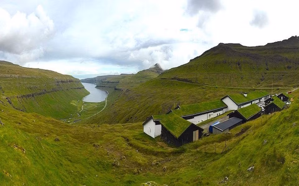 Su that kinh ngac ve quan dao khong che tot dich COVID-19-Hinh-2