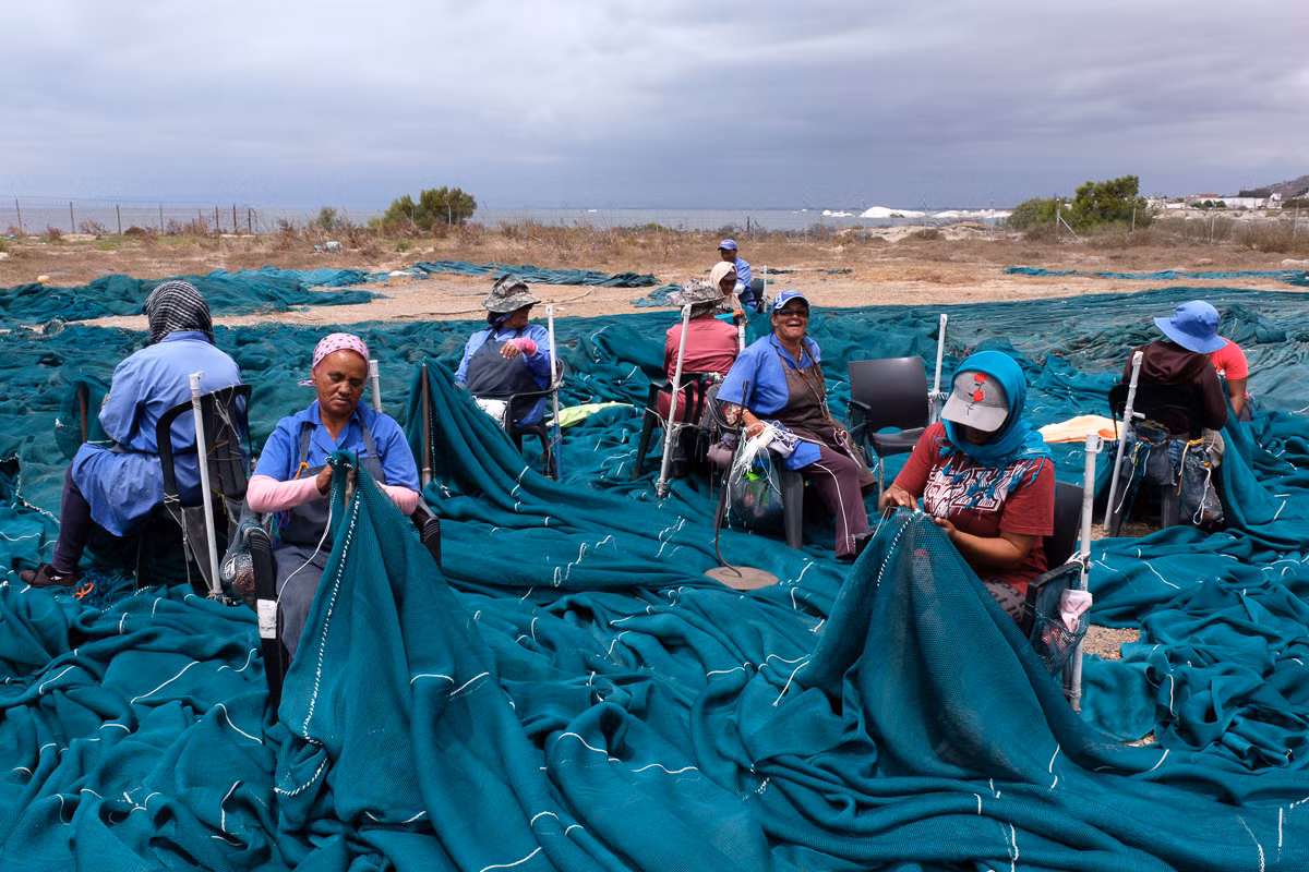 Ngu dan Nam Phi khon don vi dich COVID-19 bung phat