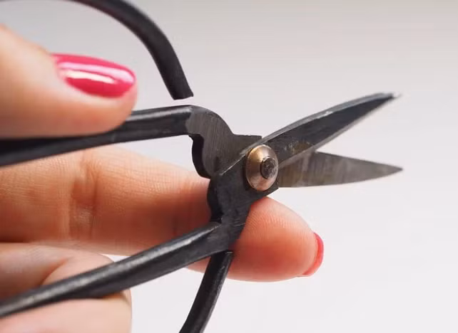 Kho tin nhung luat le, hinh phat ky quac nhat trong truong hoc-Hinh-10