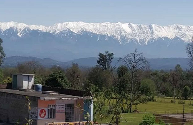 Một bức ảnh khác được đăng tải.