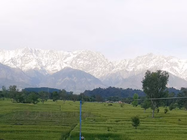 Rất nhiều cư dân Ấn Độ đã chụp lại khoảnh khắc dãy núi Himalaya hiện ra trước mắt họ và đăng tải trên mạng xã hội.