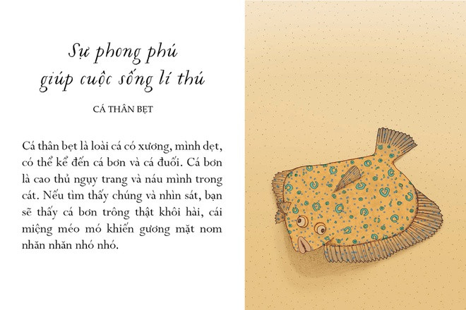 Cá thân bẹt là loài có xương, mình dẹt. Khi còn là những chú cá con lon ton giữa đám sinh vật phù du, chúng cũng có mỗi mắt nằm ở một bên đầu như bao loài cá thông thường. Lớn lên, con cá trải qua giai đoạn biến đổi kỳ lạ: Cả hai mắt của nó cùng nằm tại mặt trên của cơ thể. Cá bơn là cao thủ ngụy trang và náu mình trong cát. Nếu tìm thấy chúng và nhìn sát, bạn sẽ thấy cá bơn trông thật khôi hài, cái miệng méo mó khiến gương mặt nom nhăn nhăn nhó nhó.